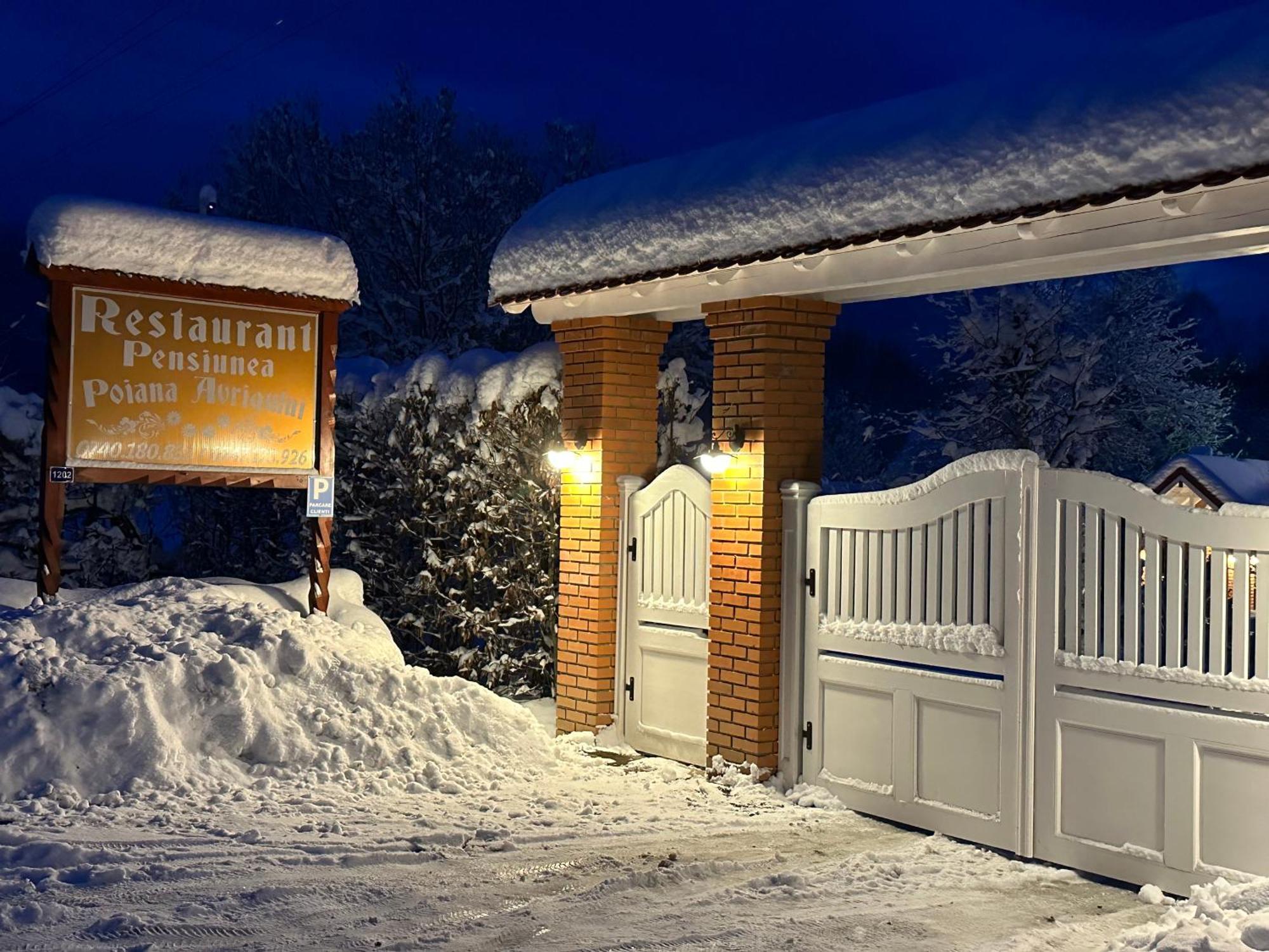 Pensiunea Poiana Avrigului Екстер'єр фото